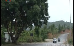 Phim truyện: Bí mật tam giác vàng - Tập 34