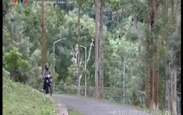 Phim truyện: Bí mật tam giác vàng - Tập 25