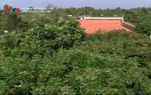 Việt Nam quê hương tôi: Làng cổ Đông Hòa Hiệp