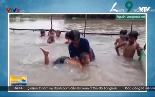 Lớp học bơi trong lồng lưới của người phụ nữ miền Tây