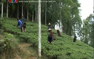 Văn hóa - Hội nhập: Huyền thoại về những con rối cổ hai trăm tuổi