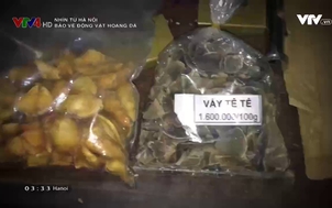 Nhìn từ Hà Nội: Bảo vệ động vật hoang dã