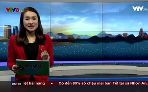 Người miền Trung - 01/01/2017