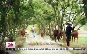 Ca khúc Hãy cùng lên tiếng