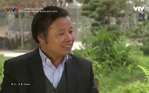 Nhìn từ Hà Nội: Thực phẩm biến đổi gen