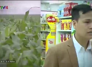 Nhìn từ Hà Nội: Thực phẩm biến đổi gen