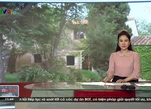 Anh: Xu hướng ứng dụng nông nghiệp trong đô thị