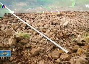 Đối thoại chính sách - 18/02/2017