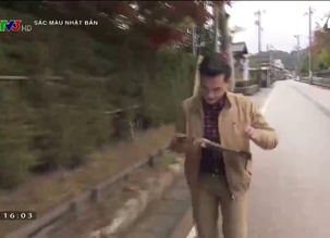 Sắc màu Nhật Bản - 03/3/2017