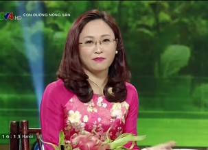 Con đường nông sản - 12/02/2016