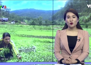 Người miền Trung - 17/7/2016