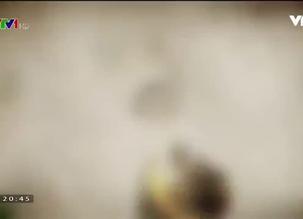 Nhạc phim Hoa cỏ may phần 3