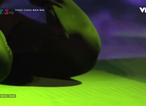 Thức cùng ban mai -  Số 16