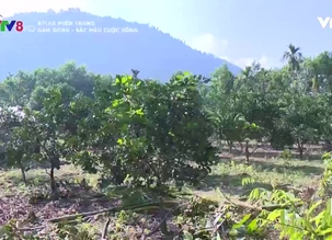 Atlas Miền Trung: Nam Đông - Sắc màu cuộc sống